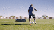 1000048708.gif