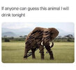 FB_IMG_1593827517314.jpg