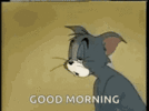 tom-and-jerry-tom.gif