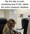 b13e535d7873e5fd1a817502c1650b11.jpg