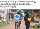 trollcricketamil-20211006-0002.jpg