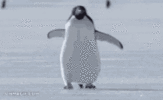 penguin-omw.gif