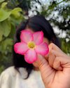 DCIM20251408_146893.jpg