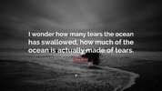 3303280-Anna-Banks-Quote-I-wonder-how-many-tears-the-ocean-has-swallowed.jpg
