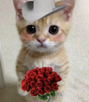 n2fq7wfnxntc1.png
