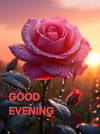 1755346121634.png