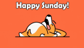 10396.gif
