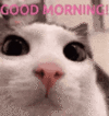 images (5) (1).gif