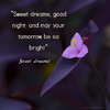 simple-good-night-quotes-with-images.png