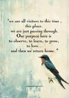 FB_IMG_1755587846237.jpg