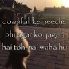 b41a0dc40101b195808d07ec4def46fb.jpg