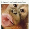 images (1).jpeg