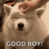 1755882653962.gif