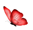 1000204811.png