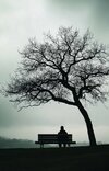 solitary-silhouette-contemplation-stockcake~2.jpg