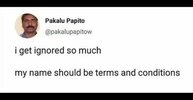 funny-pakalu-papito-tweet-that-reads-i-get-ignored-so-much-my-name-should-be-terms-and-condit...jpeg