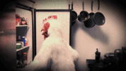 1000057841.gif