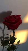 77bd67beeb4143d5146870e0eac754dc.jpg