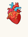 download (15).jpeg