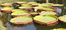 IMG-20250105-WA0009.png