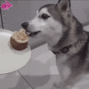 1678392507_1689922_gif-url.gif