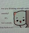 1000131334-01.jpeg