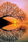 1756960031833.png