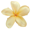 1000211654.png