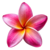 1000211653.png