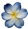 1000211652.png