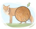 1757051780376.png