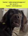 images (86).jpeg