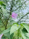 IMG_3059.jpeg