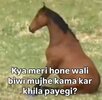 IMG_1686.jpeg