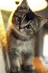 images (73).jpeg