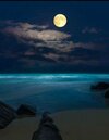 FB_IMG_1757957427169.jpg