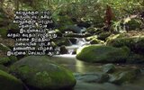 7cb53cb4e4dfb703ebcedbd140a68989.jpg