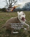 1848789e3deb9b1b47672bb2cbdde46b.jpg