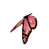 1000227337.gif