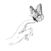 1000227343.png