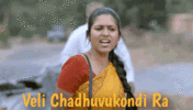 IMG_3899.gif
