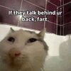 IMG_7384.jpeg