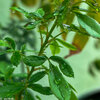 IMG_8073.jpeg