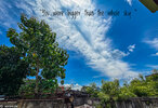IMG_8140.jpeg