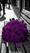 df37e79fff66d1b4c808aca2a825e40a.jpg