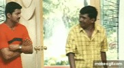 8061.gif
