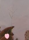 B612_20251002_151626_067.jpg