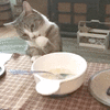 1000402787.gif