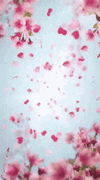 d9cbfa47ec603c4c7b2f3f000fd730bf.gif