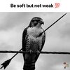 FB_IMG_1759115211594.jpg